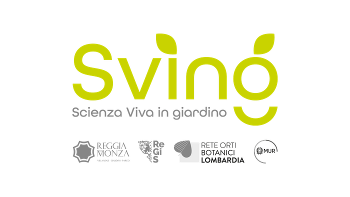 SVING-logopartner-mid